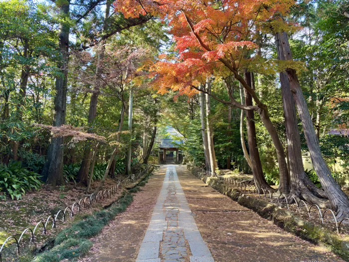 鎌倉　寿福寺　石畳の参道