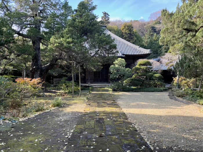 鎌倉　寿福寺