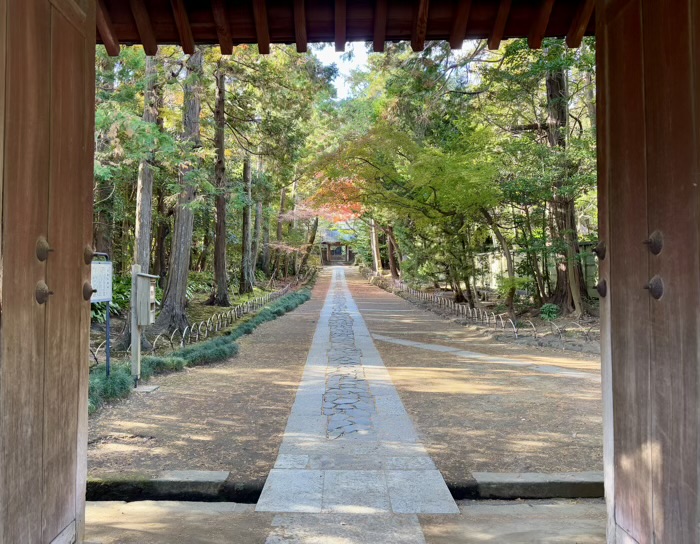 鎌倉　寿福寺　石畳の参道