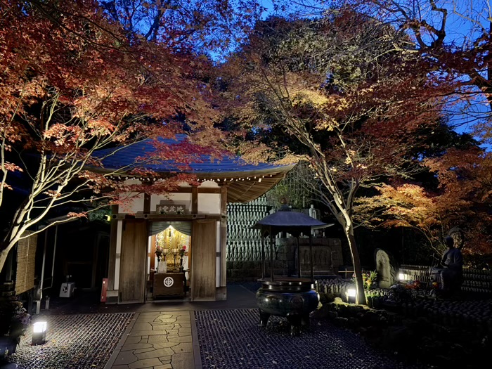 鎌倉　長谷寺　ライトアップ