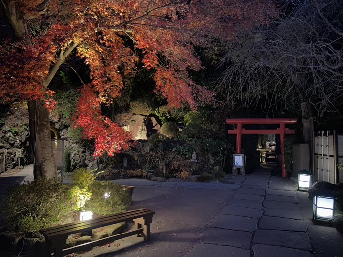 鎌倉　長谷寺　ライトアップ