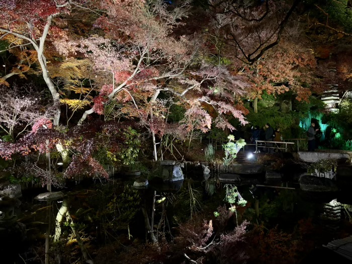 鎌倉　長谷寺　ライトアップ