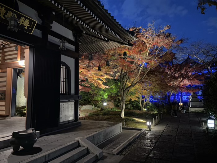 鎌倉　長谷寺　ライトアップ