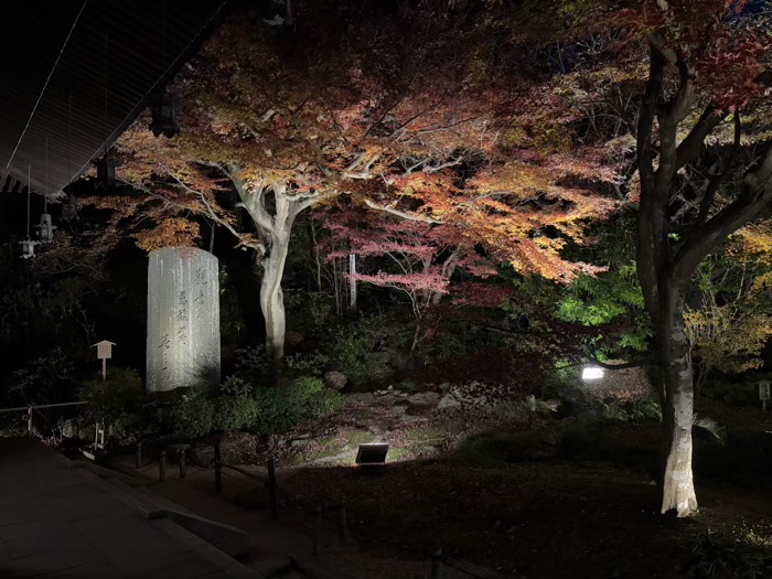 鎌倉　長谷寺　ライトアップ