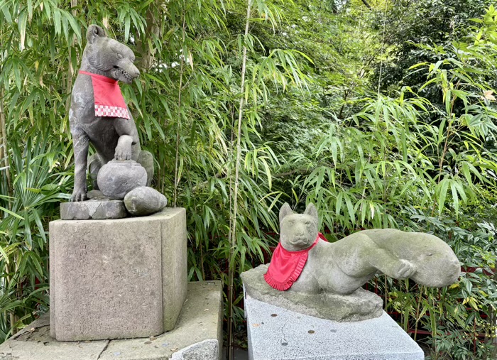 秦野　白笹稲荷神社　狛狐