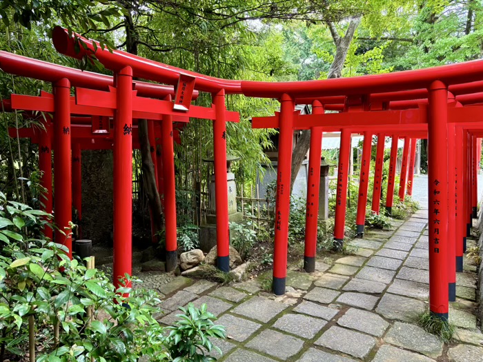 秦野　白笹稲荷神社　千本鳥居