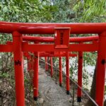 秦野　白笹稲荷神社　千本鳥居