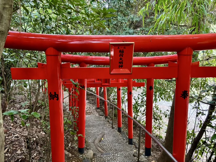 秦野　白笹稲荷神社　千本鳥居