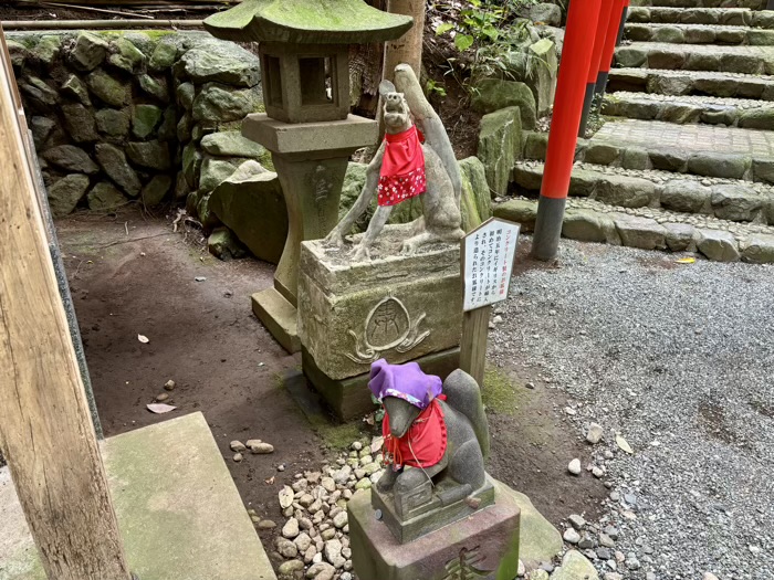 秦野　白笹稲荷神社　東末社