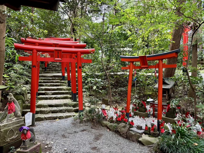 秦野　白笹稲荷神社　狐塚