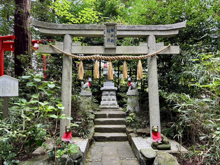 秦野　白笹稲荷神社　権兵衛稲荷（西末社）