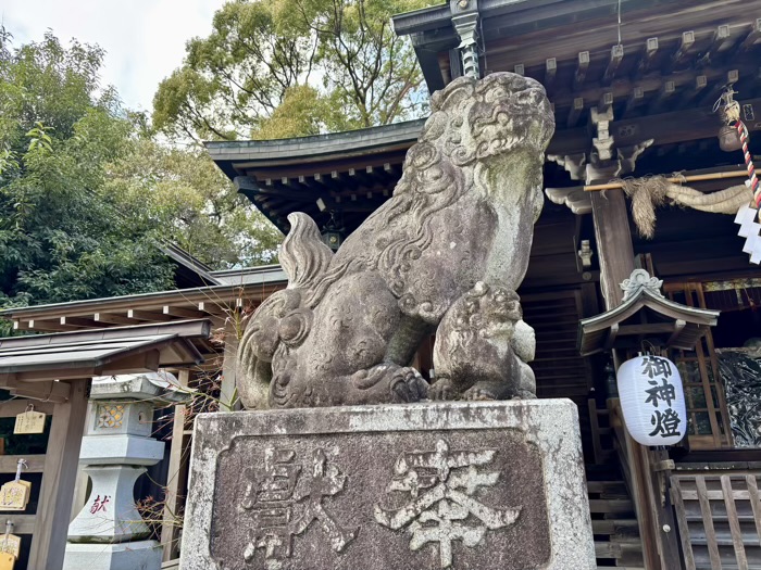 秦野　曾屋神社　社殿