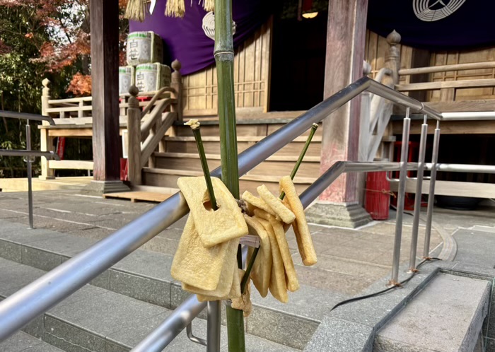 秦野　白笹稲荷神社　お正月