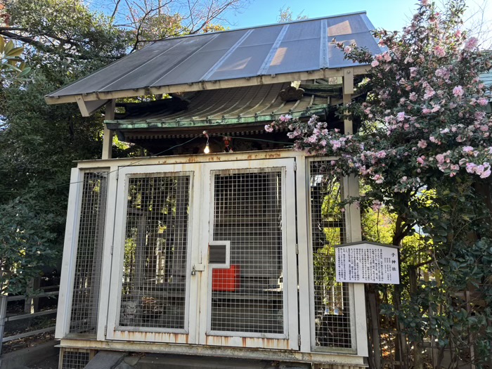 川崎　稲毛神社　子神社
