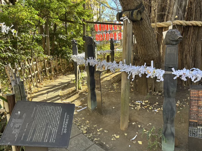 川崎　稲毛神社　御神木大銀杏と十二支めぐり