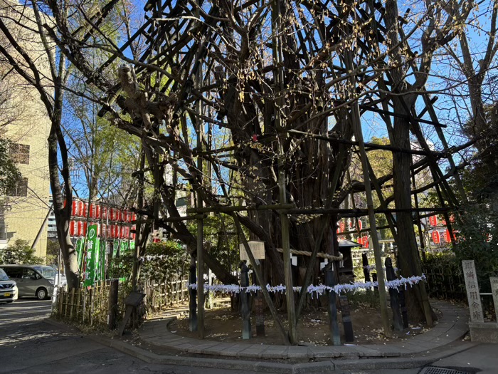 川崎　稲毛神社　御神木大銀杏と十二支めぐり