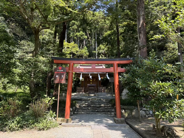 鎌倉　鶴岡八幡宮　今宮　新宮