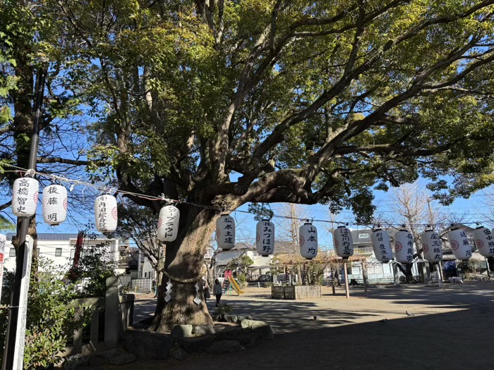 湘南　平塚三嶋神社