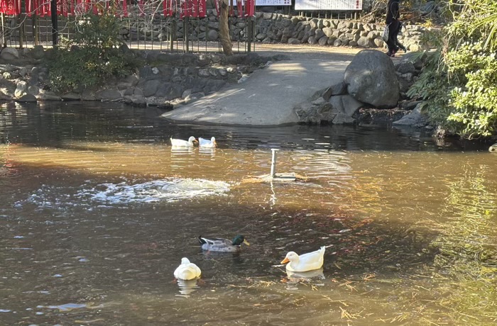 湘南　平塚八幡宮