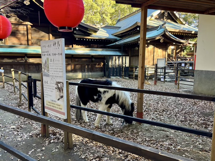 湘南　平塚八幡宮