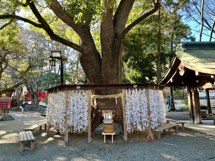 湘南　平塚八幡宮　おみくじ結所