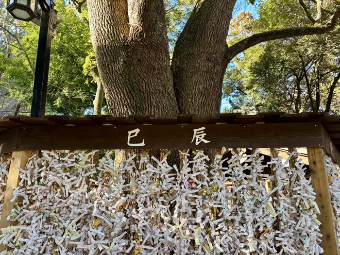 湘南　平塚八幡宮　おみくじ結所