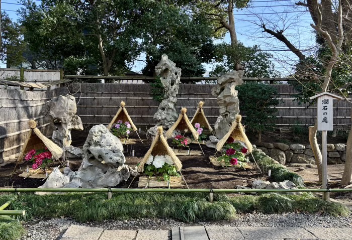 鎌倉　鶴岡八幡宮　神苑ぼたん庭園　湖石の庭