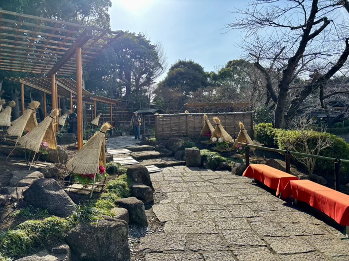 鎌倉　鶴岡八幡宮　神苑ぼたん庭園