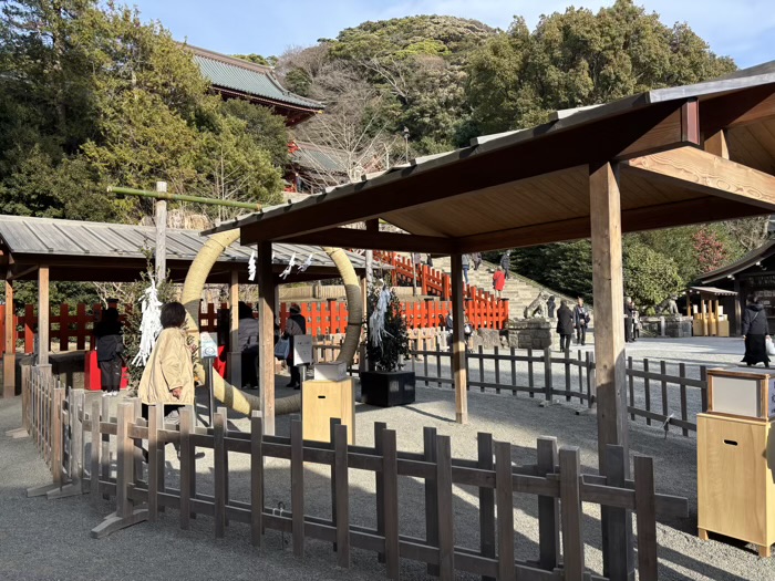 鎌倉　鶴岡八幡宮　茅の輪くぐり