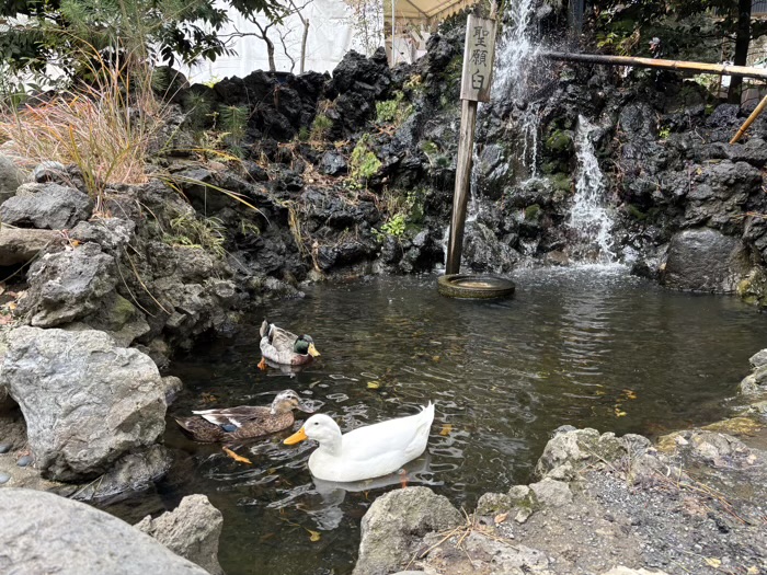 湘南　平塚八幡宮