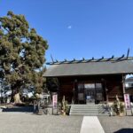 相模原　日々神社　ご神木・楠木