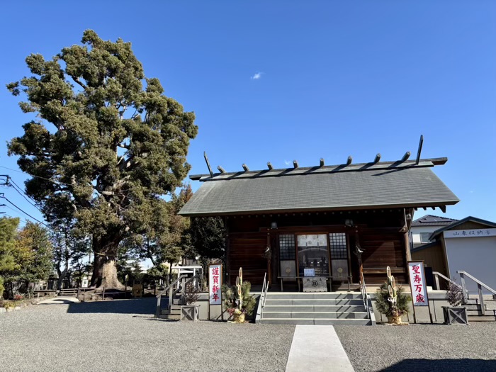 相模原　日々神社　ご神木・楠木