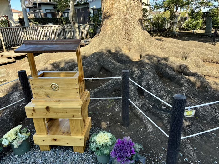 相模原　日々神社　ご神木・楠木