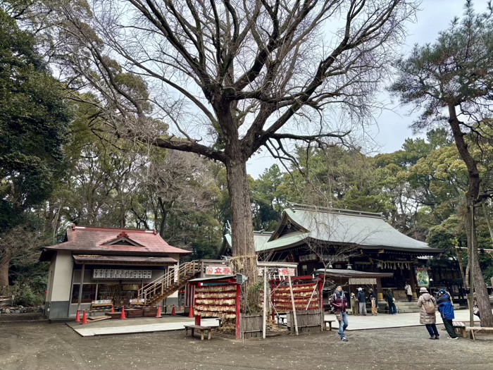 湘南　平塚八幡宮　節分祭