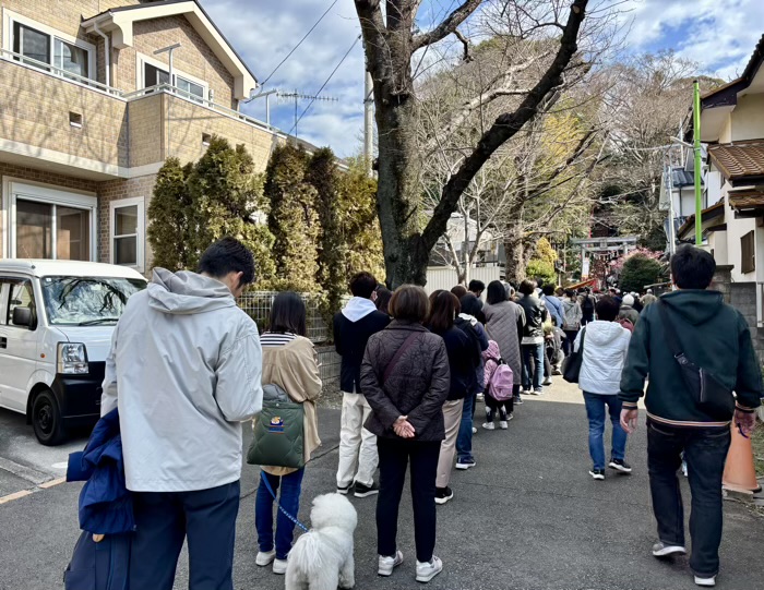 相武台下　座間神社　ひな祭り　参道