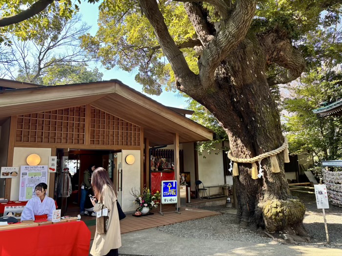 相武台下　座間神社　ひな祭り　すいめい館