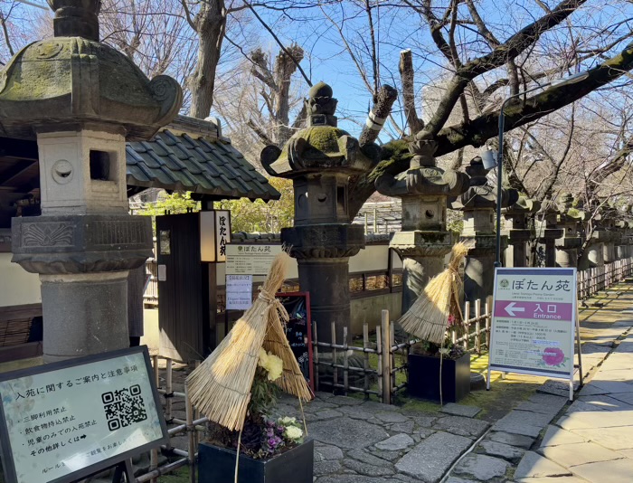 寛永寺　上野東照宮　ぼたん苑