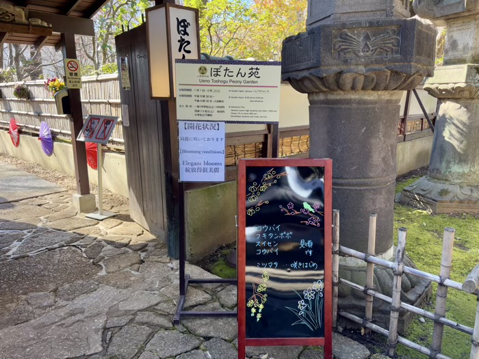 寛永寺　上野東照宮　ぼたん苑