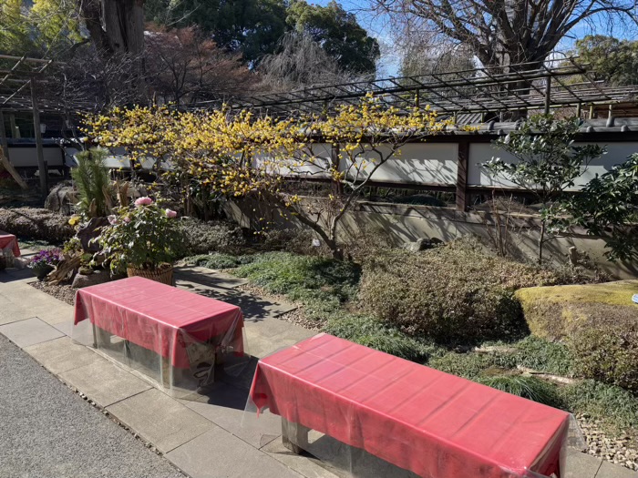 寛永寺　上野東照宮　ぼたん苑