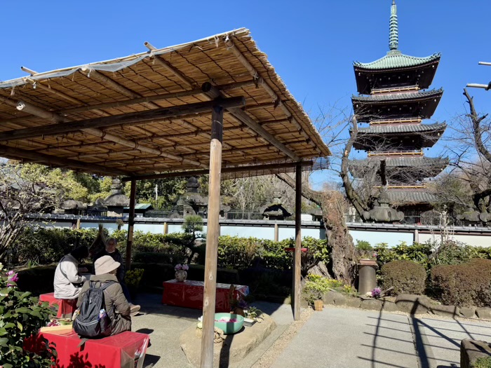 寛永寺　上野東照宮　ぼたん苑