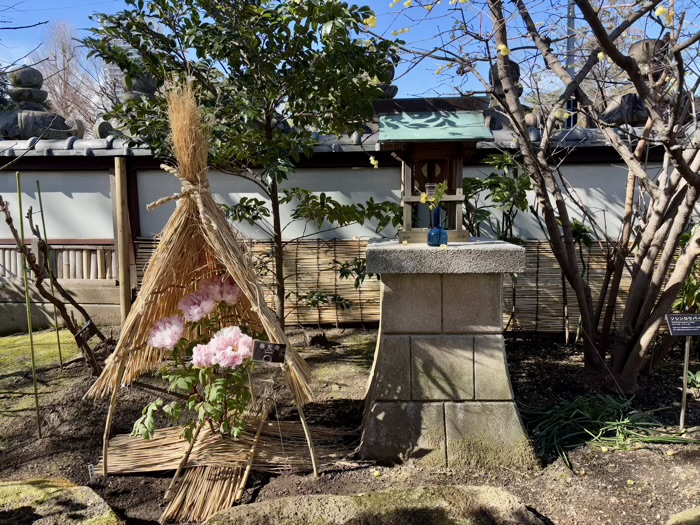 寛永寺　上野東照宮　ぼたん苑