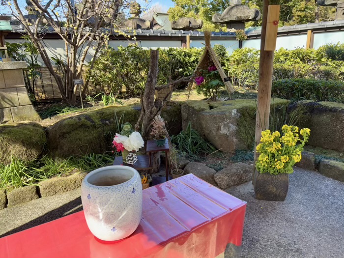 寛永寺　上野東照宮　ぼたん苑