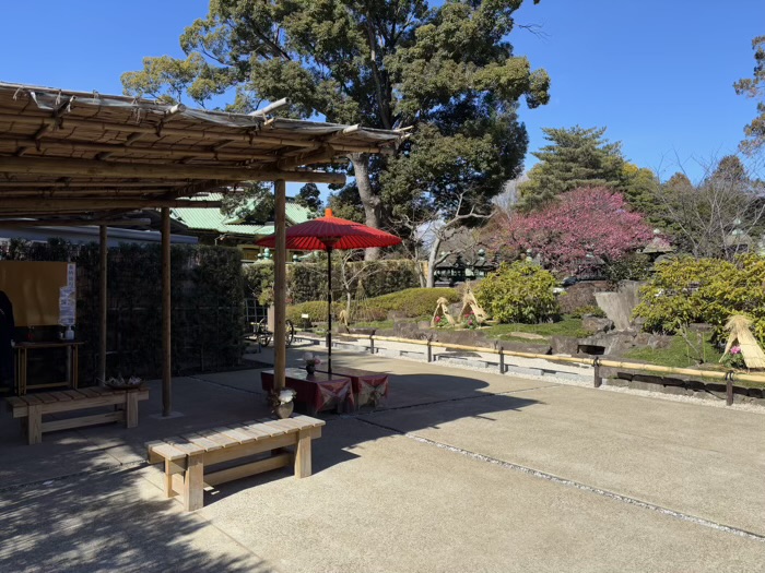 寛永寺　上野東照宮　ぼたん苑