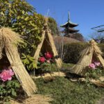 寛永寺　上野東照宮　ぼたん苑