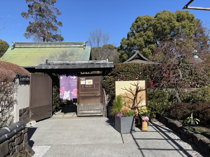 寛永寺　上野東照宮　ぼたん苑