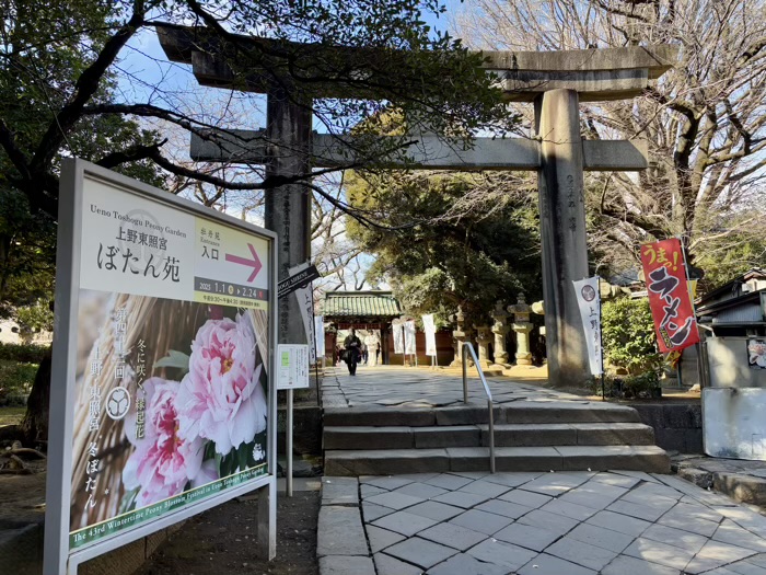 寛永寺　上野東照宮　ぼたん苑