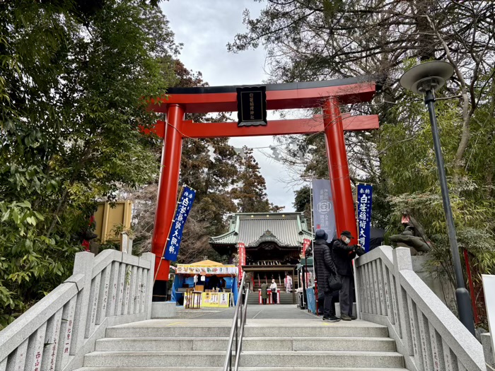 秦野　白笹稲荷神社　二の午