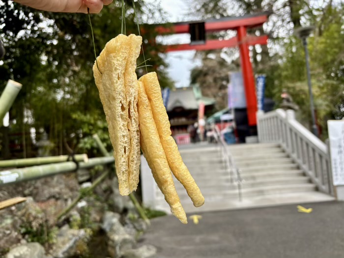 秦野　白笹稲荷神社　二の午