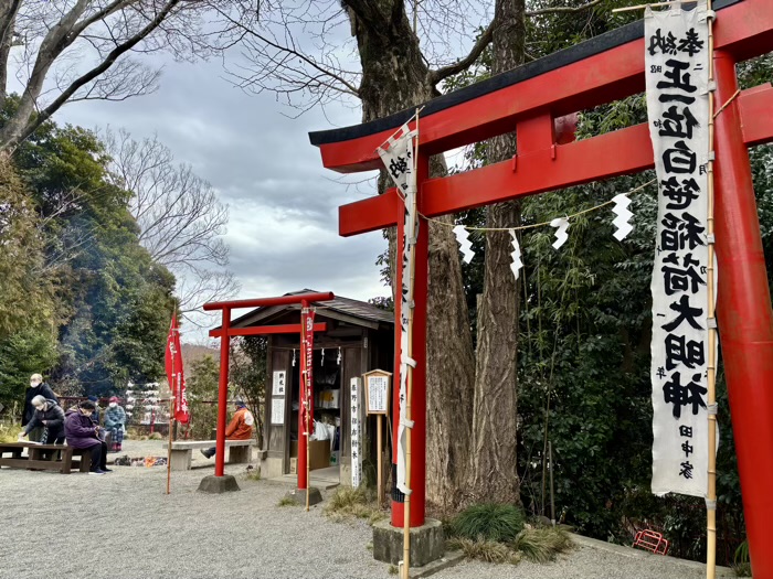 秦野　白笹稲荷神社　二の午