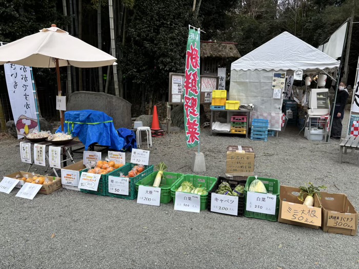 秦野　出雲大社相模分祠　梅まつり